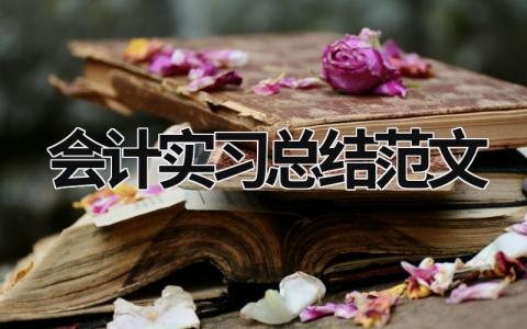 会计实习总结范文模板大全（精选13篇）
