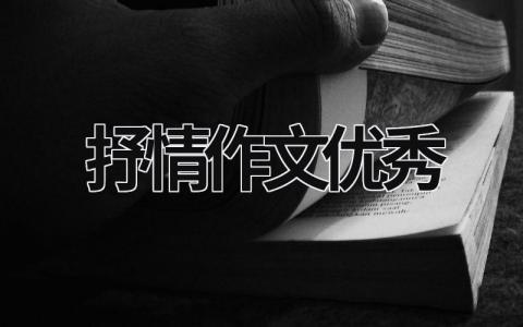抒情作文优秀范文模板大全（集锦11篇）