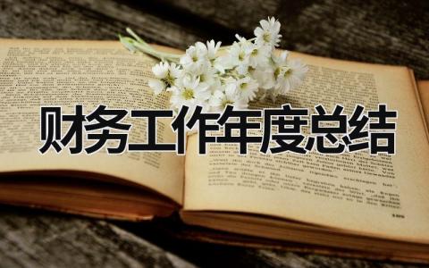 财务工作年度总结范文模板大全（精品15篇）