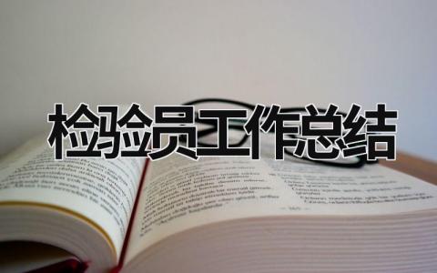 检验员工作总结范文模板大全（精品13篇）
