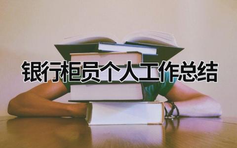银行柜员个人工作总结范文模板大全（精品12篇）