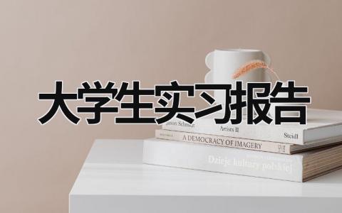 大学生实习报告范文模板大全（精品21篇）