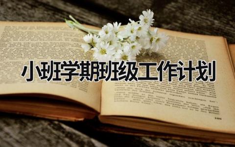 小班学期班级工作计划范文模板大全（精品16篇）