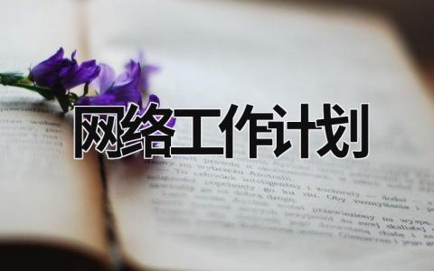 网络工作计划范文模板大全（精品17篇）