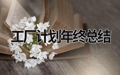 工厂计划年终总结范文模板大全（精品20篇）
