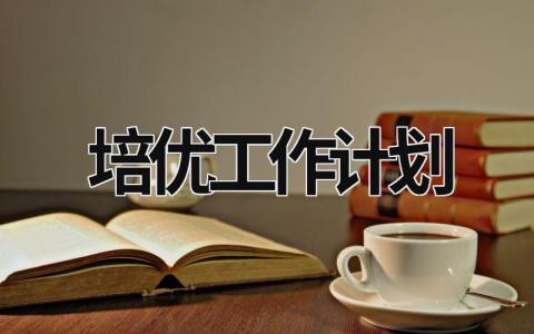 培优工作计划范文模板大全（精品15篇）