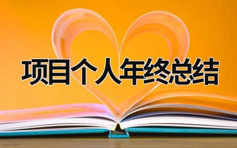 项目个人年终总结范文模板大全（精品21篇）