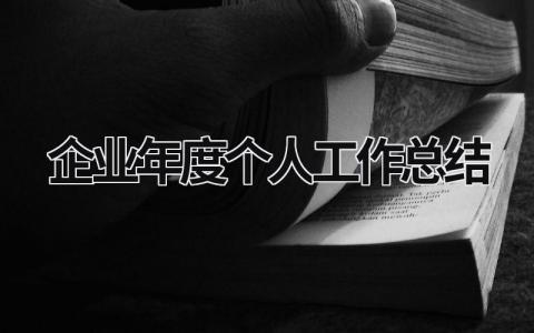 企业年度个人工作总结范文模板大全（汇编13篇）