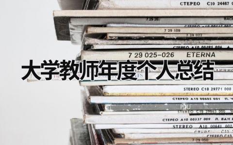 大学教师年度个人总结范文模板大全（汇编13篇）