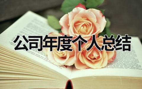 公司年度个人总结 公司年度个人总结报告怎么写 范文模板大全（汇编14篇）