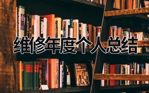 维修年度个人总结  范文模板大全（汇编17篇）