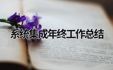 系统集成年终工作总结 系统集成年终工作总结范文 范文模板大全（汇编9篇）