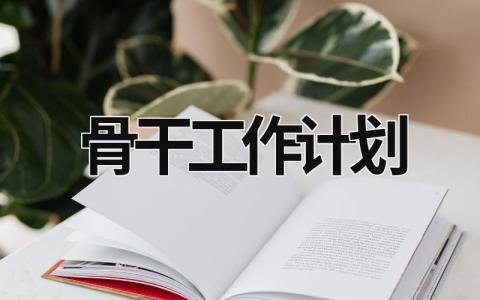 骨干工作计划 骨干计划分配表2021 范文模板大全（汇编11篇）
