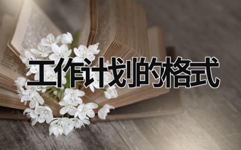 工作计划的格式 工作计划的格式及范文 范文模板大全（汇编16篇）