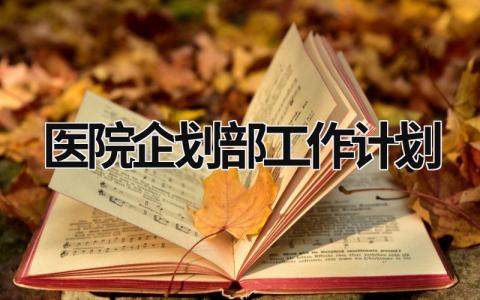 医院企划部工作计划  范文模板大全（汇编3篇）