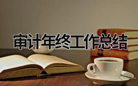 审计年终工作总结 审计人员年终工作总结 范文模板大全（汇编16篇）