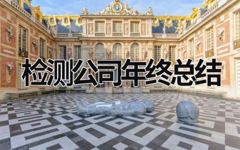 检测公司年终总结 检测公司年度总结报告 范文模板大全（汇编18篇）