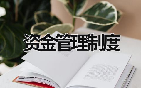 资金管理制度 医院专项资金管理制度 范文模板大全（汇编15篇）