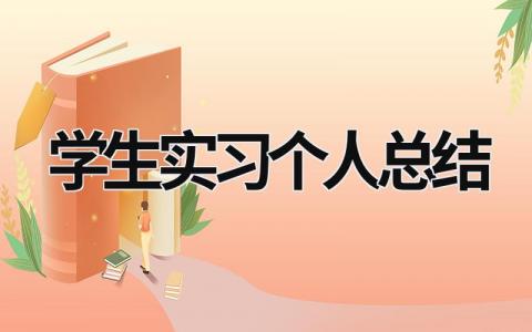 学生实习个人总结  范文模板大全（汇编16篇）