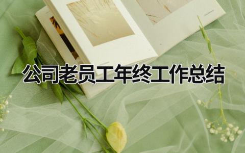 公司老员工年终工作总结 公司老员工年终工作总结报告 范文模板大全（汇编8篇）