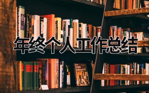 2024年终个人工作总结 2024年个人年终工作总结及2021年工作计划 范文模板大全（汇编20篇）