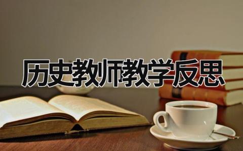 历史教师教学反思 历史教师教学反思 范文模板大全（精选13篇）